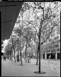 Market Street Cultural Landscape District HALS CA-164