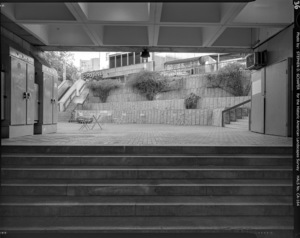 Market Street Cultural Landscape District HALS CA-164